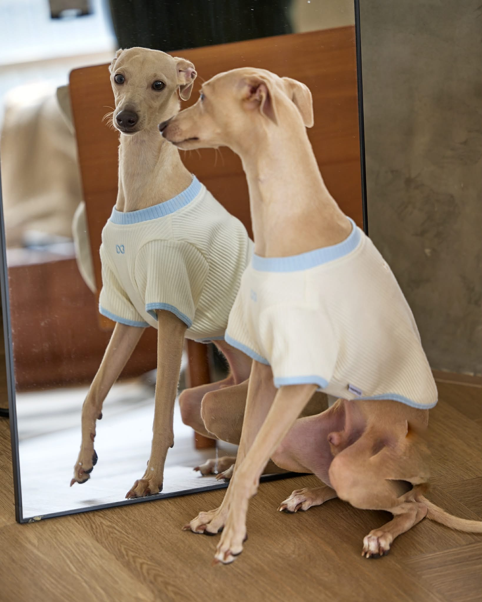 Chic Tee - Soft Rib/ Ivory-Baby Blue